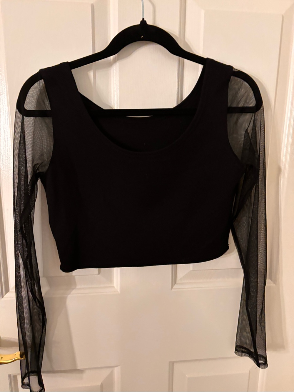 Black Sheer Sleeve Crop Top for Women